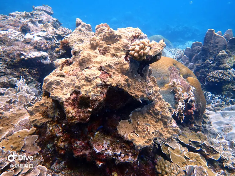 #67 Chai Kou Diving Area
