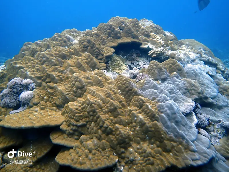 #67 Chai Kou Diving Area