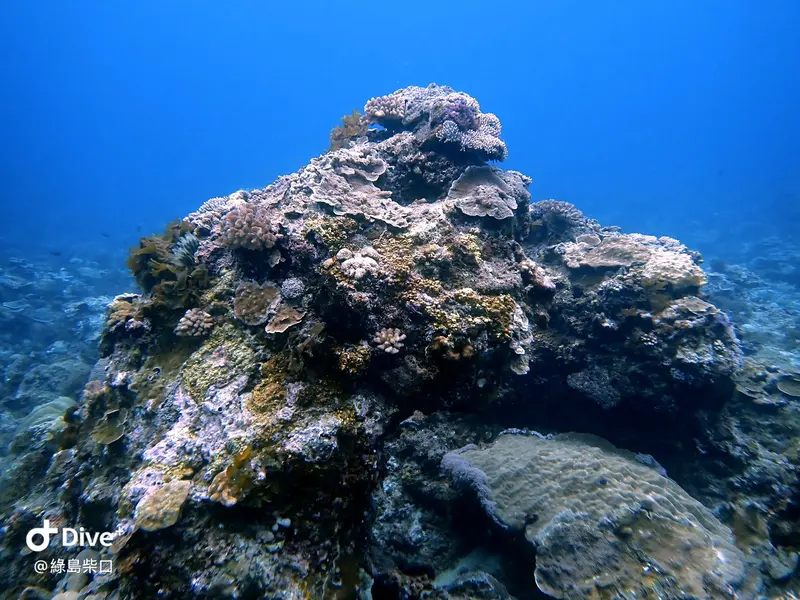 #67 Chai Kou Diving Area
