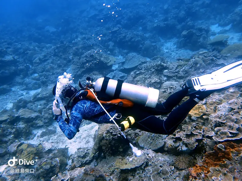 #67 Chai Kou Diving Area