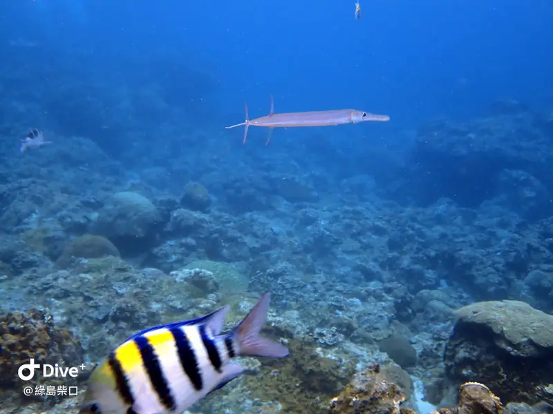 #67 Chai Kou Diving Area