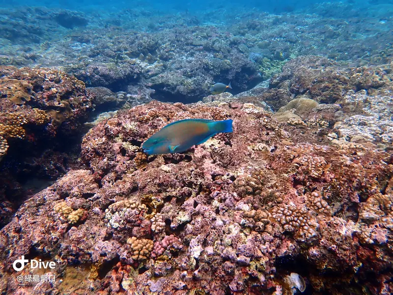 #67 Chai Kou Diving Area