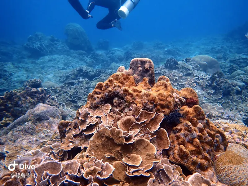 #68 Chai Kou Diving Area
