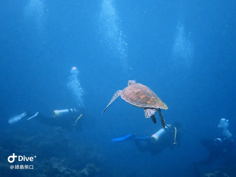 #68 Chai Kou Diving Area