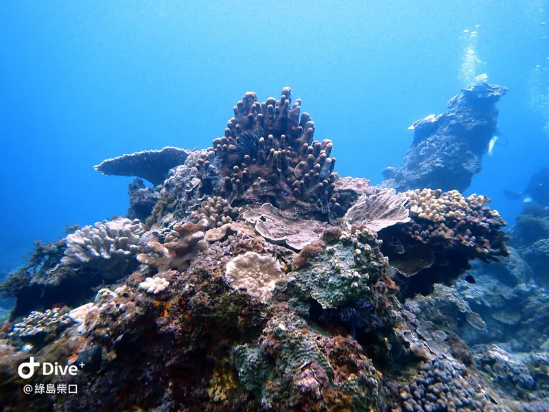 #68 Chai Kou Diving Area