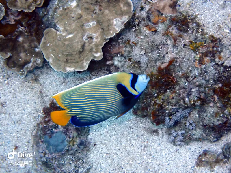 #68 Chai Kou Diving Area