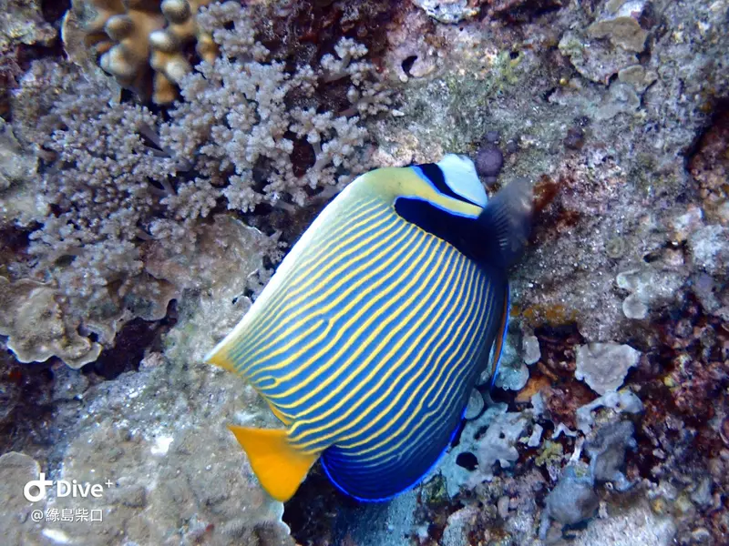 #68 Chai Kou Diving Area