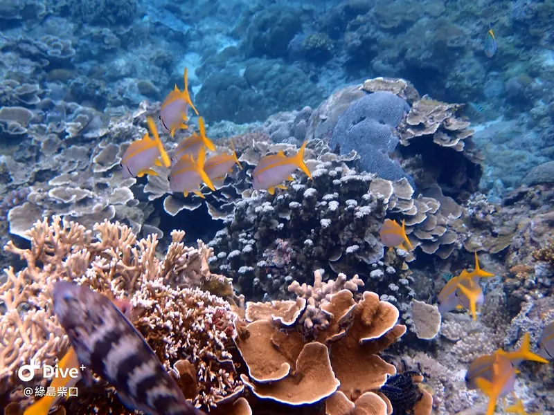 #68 Chai Kou Diving Area