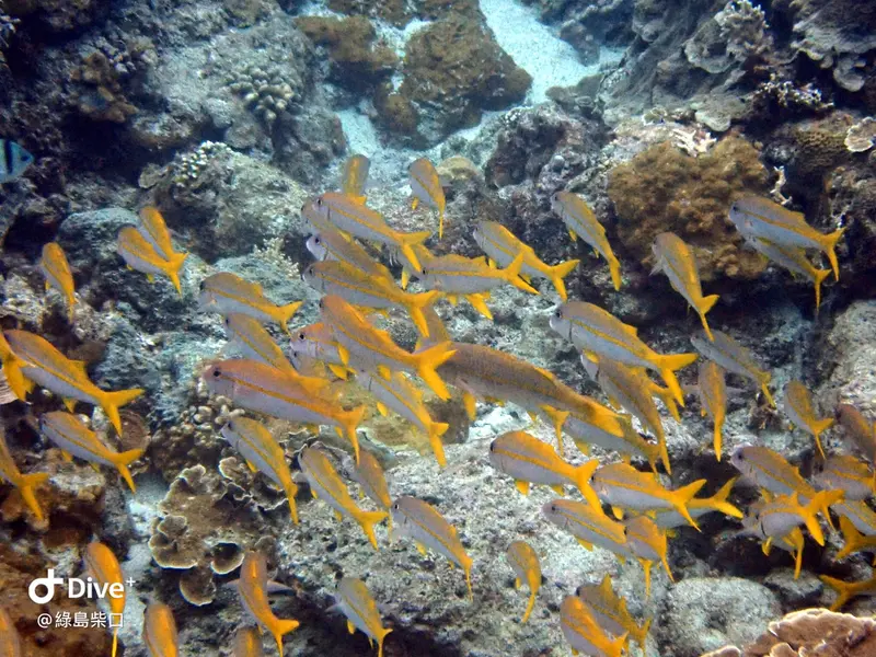 #68 Chai Kou Diving Area