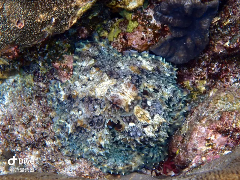 #68 Chai Kou Diving Area