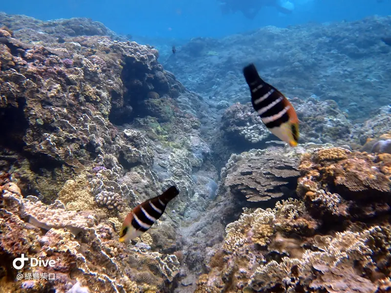 #68 Chai Kou Diving Area