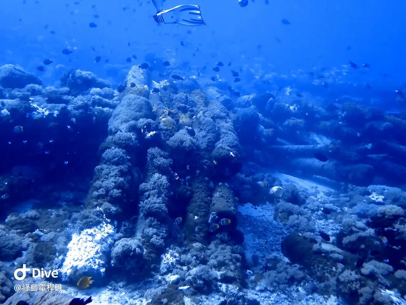 #69 Diangan Reef