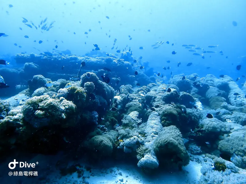 #69 Diangan Reef