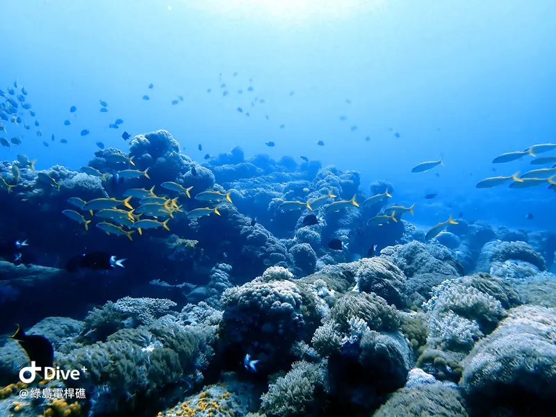 #69 Diangan Reef
