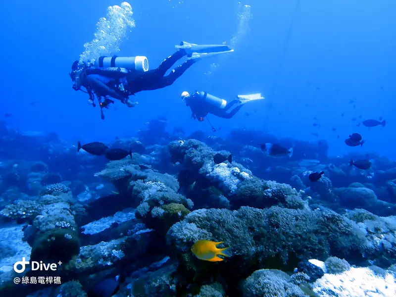 #69 Diangan Reef