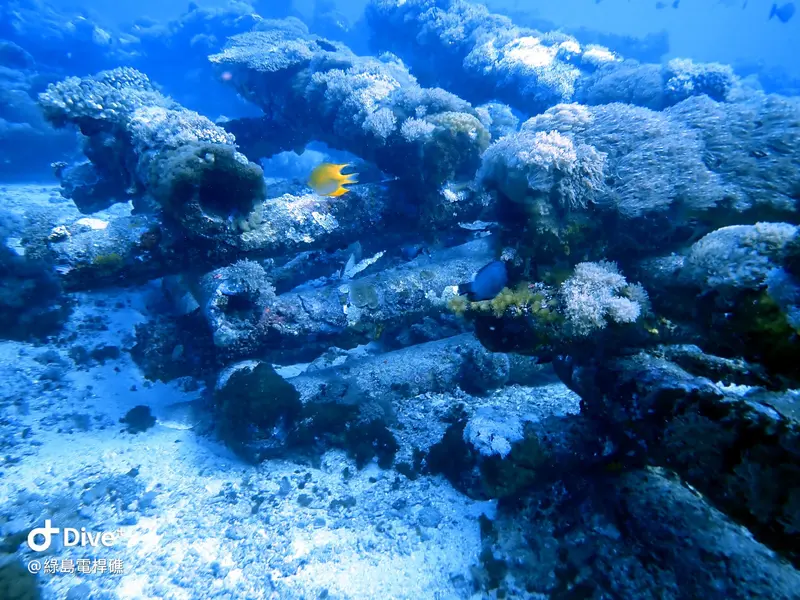 #69 Diangan Reef