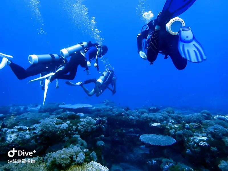 #69 Diangan Reef