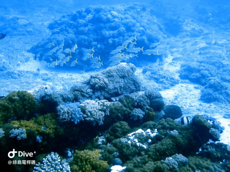 #69 Diangan Reef