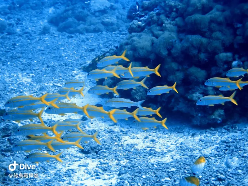 #69 Diangan Reef