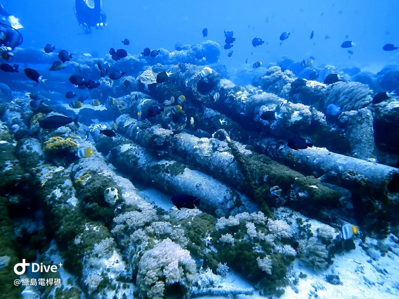 #69 Diangan Reef