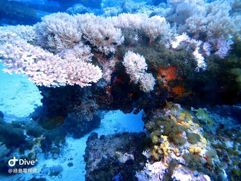 #69 Diangan Reef