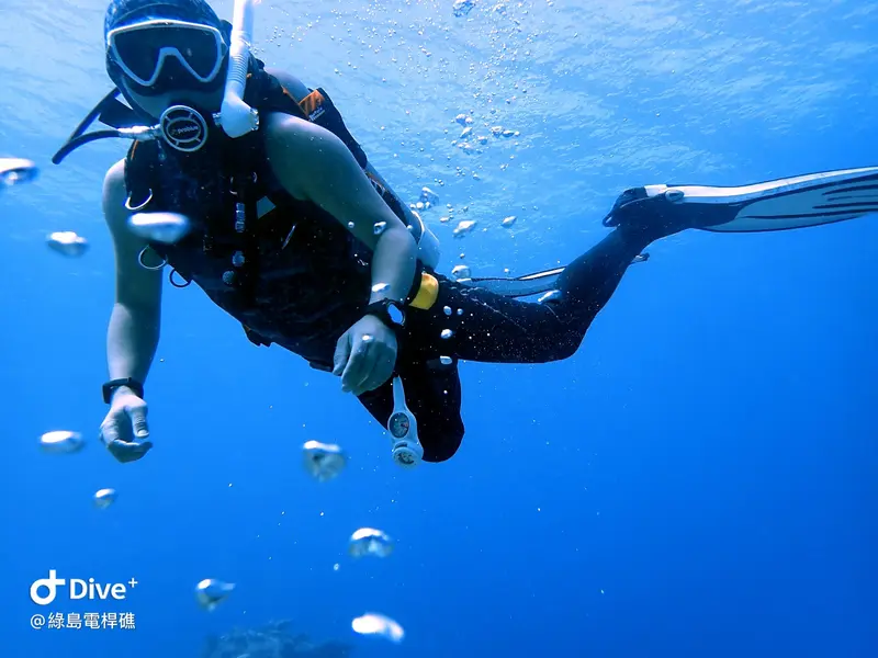 #69 Diangan Reef