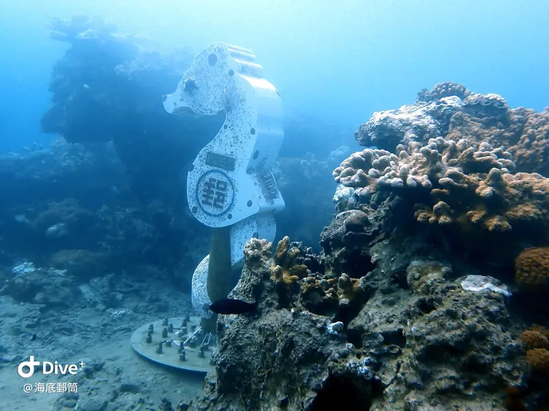 #71 Shih Lang Diving Area