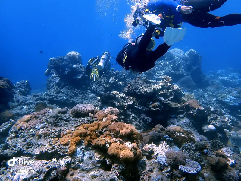 #71 Shih Lang Diving Area