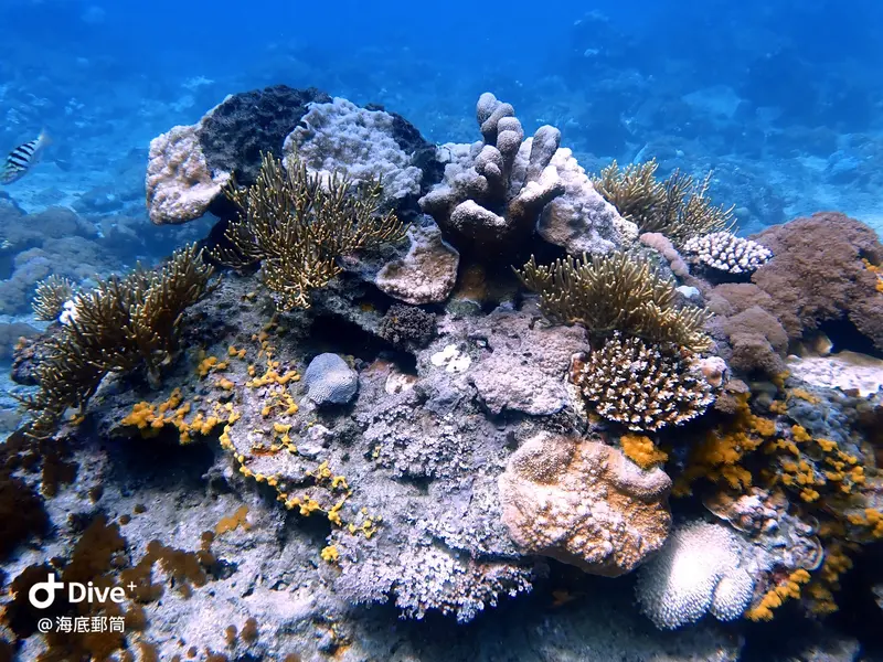 #71 Shih Lang Diving Area