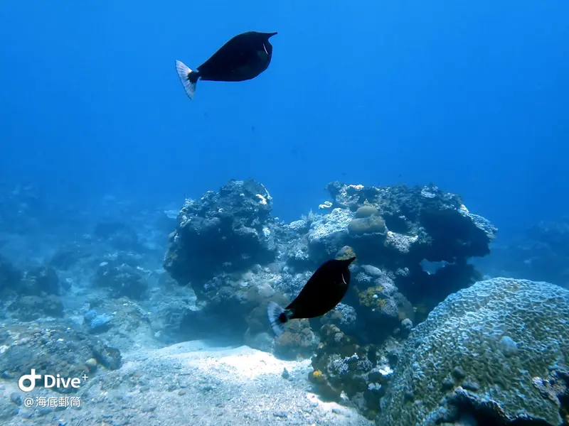 #71 Shih Lang Diving Area