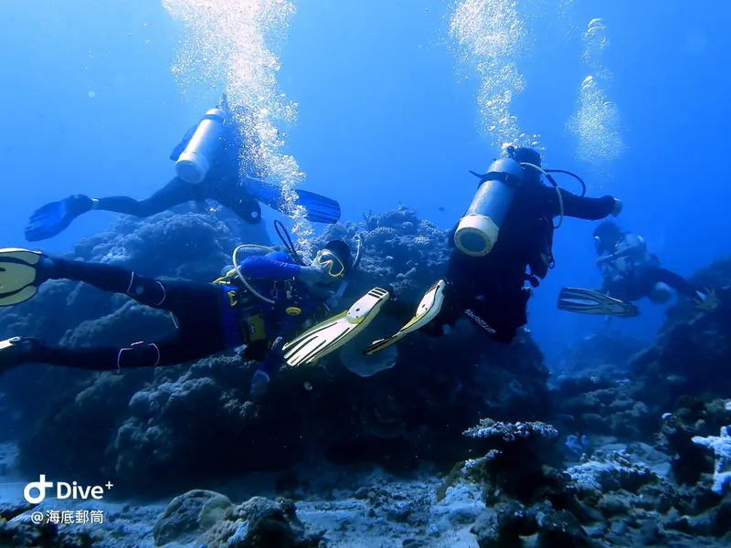 #71 Shih Lang Diving Area