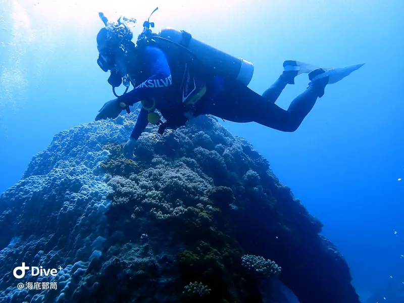 #71 Shih Lang Diving Area