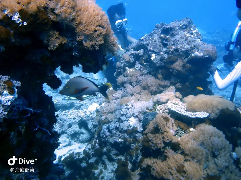 #71 Shih Lang Diving Area