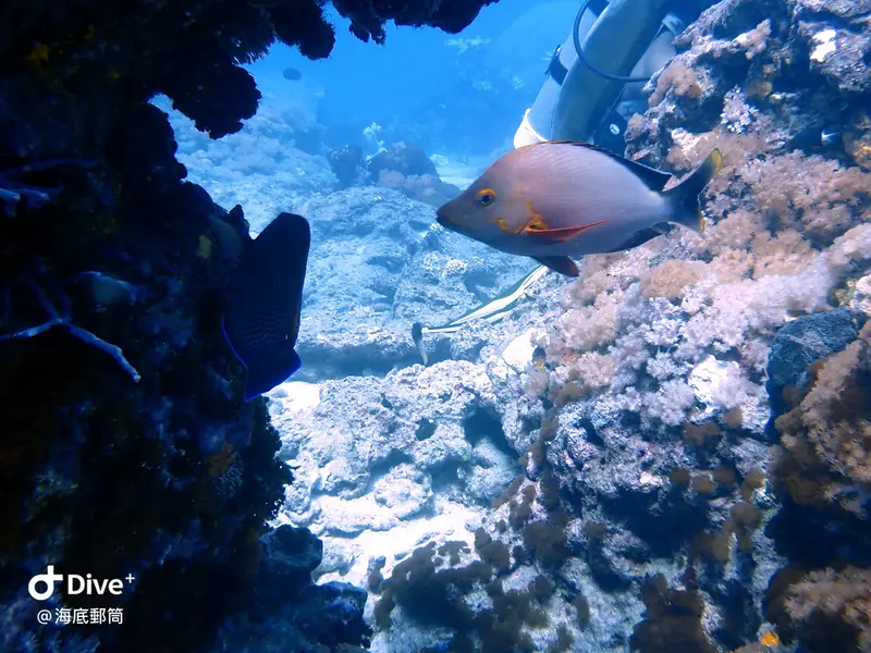 #71 Shih Lang Diving Area