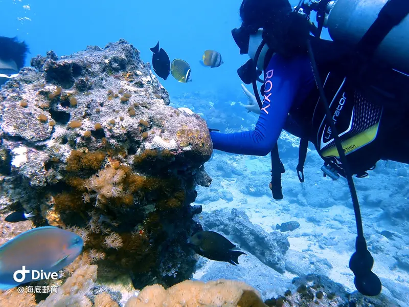 #71 Shih Lang Diving Area