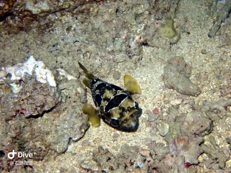 #72 Shih Lang Diving Area