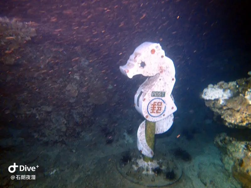 #72 Shih Lang Diving Area