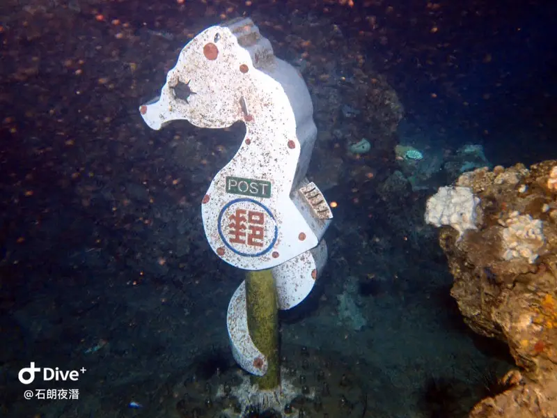 #72 Shih Lang Diving Area