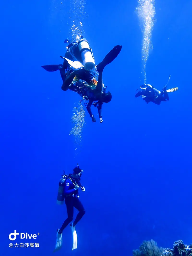 #73 DaBaiSha Diving Area