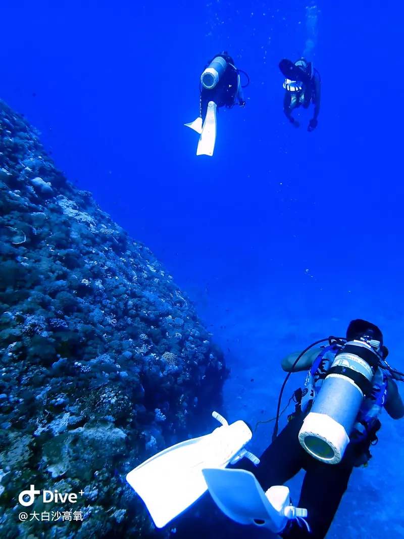 #73 DaBaiSha Diving Area