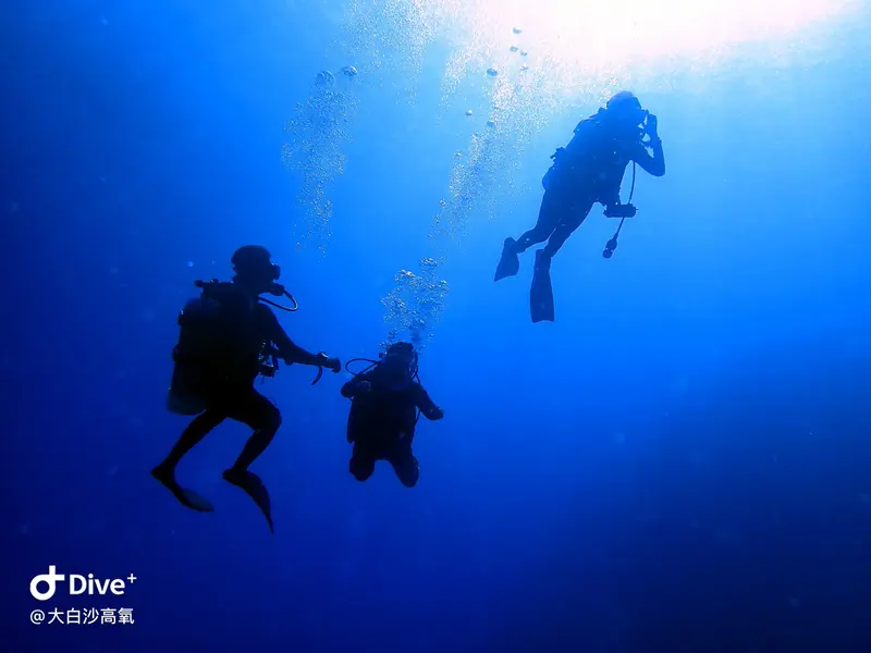#73 DaBaiSha Diving Area