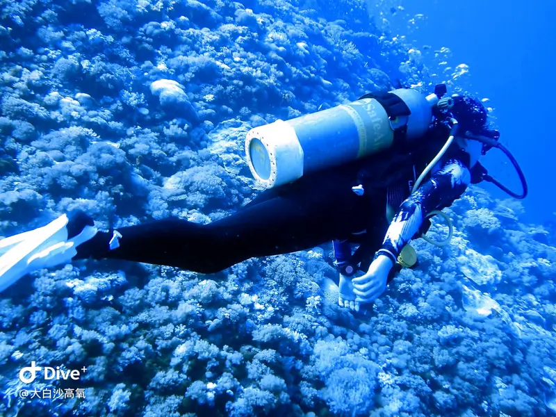 #73 DaBaiSha Diving Area