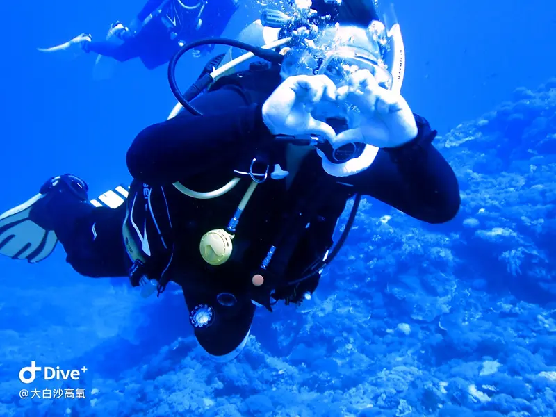 #73 DaBaiSha Diving Area