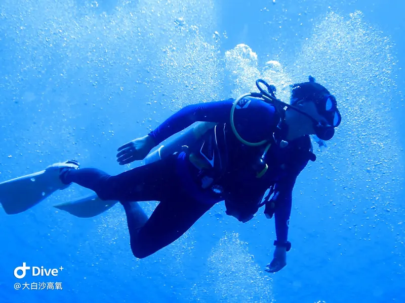 #73 DaBaiSha Diving Area