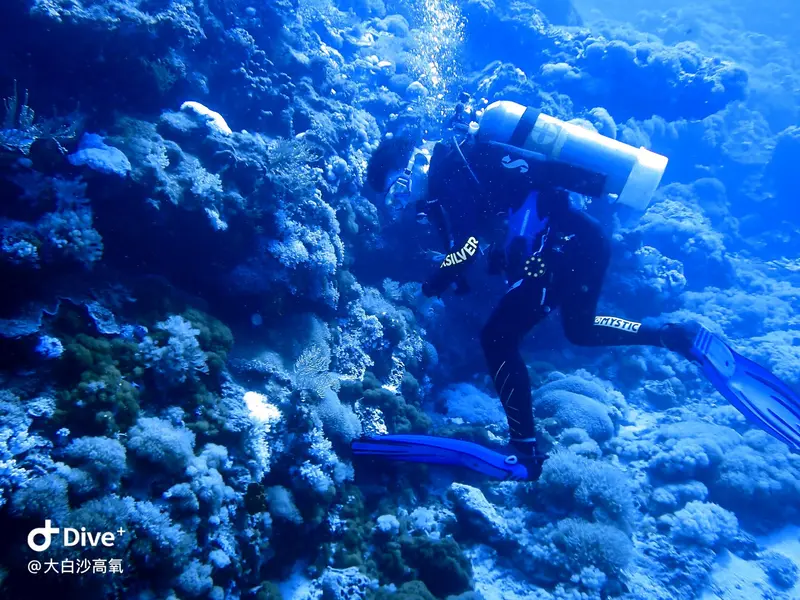 #73 DaBaiSha Diving Area