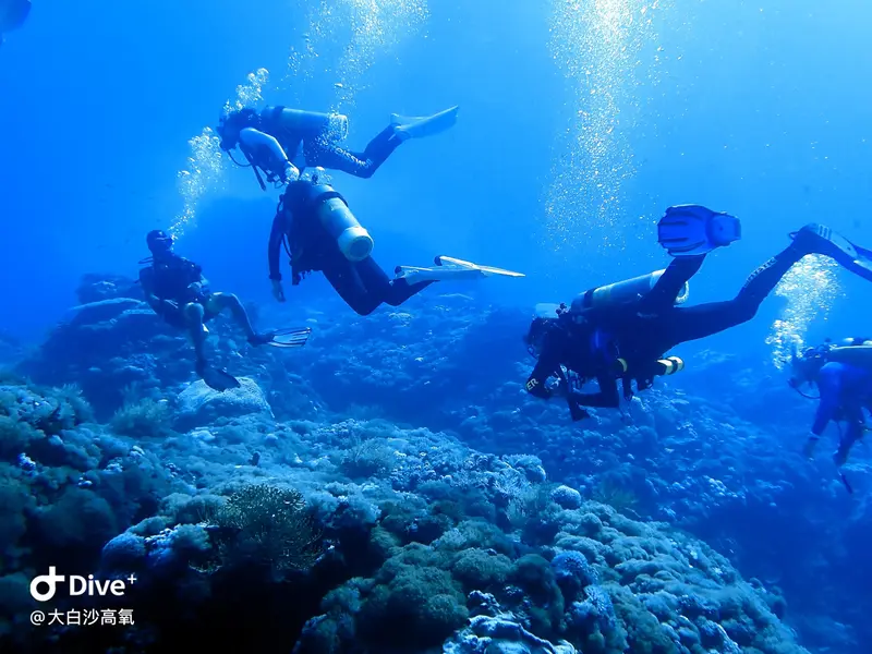 #73 DaBaiSha Diving Area