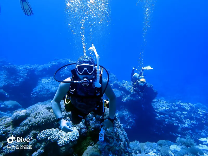 #73 DaBaiSha Diving Area