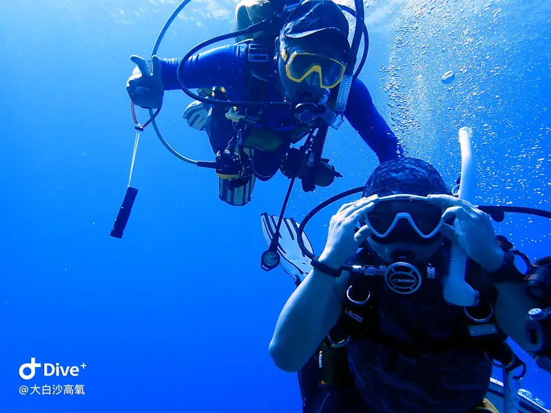 #73 DaBaiSha Diving Area