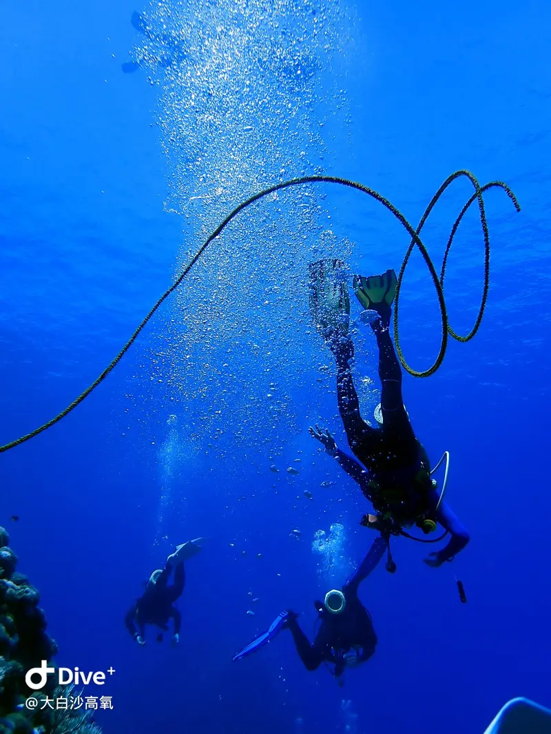 #73 DaBaiSha Diving Area