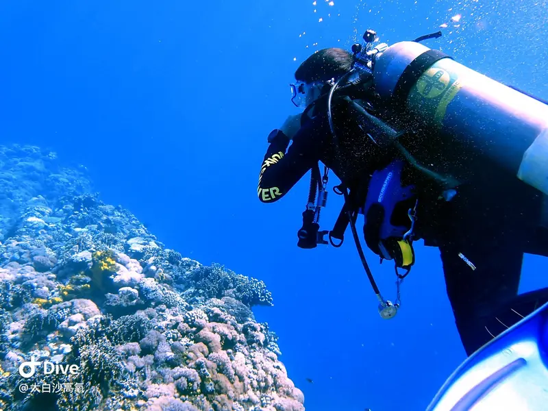 #73 DaBaiSha Diving Area